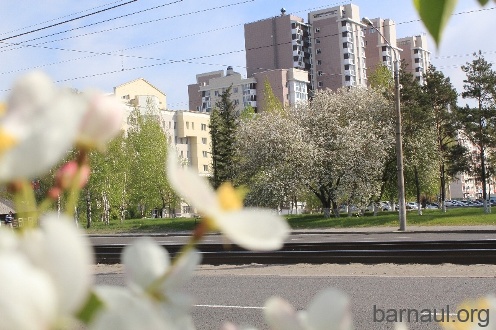 Гала-концерт проекта "Творческий марафон" включен в фестиваль народного творчества и мастеров искусств "Барнаульская весна-2012"